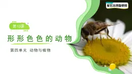第10課 形形色色的動(dòng)物 課件 小學(xué)科學(xué)蘇教版（2024）一年級(jí)下冊(cè)第四單元