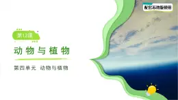 第12課 動物與植物 課件 小學(xué)科學(xué)蘇教版（2024）一年級下冊第四單元