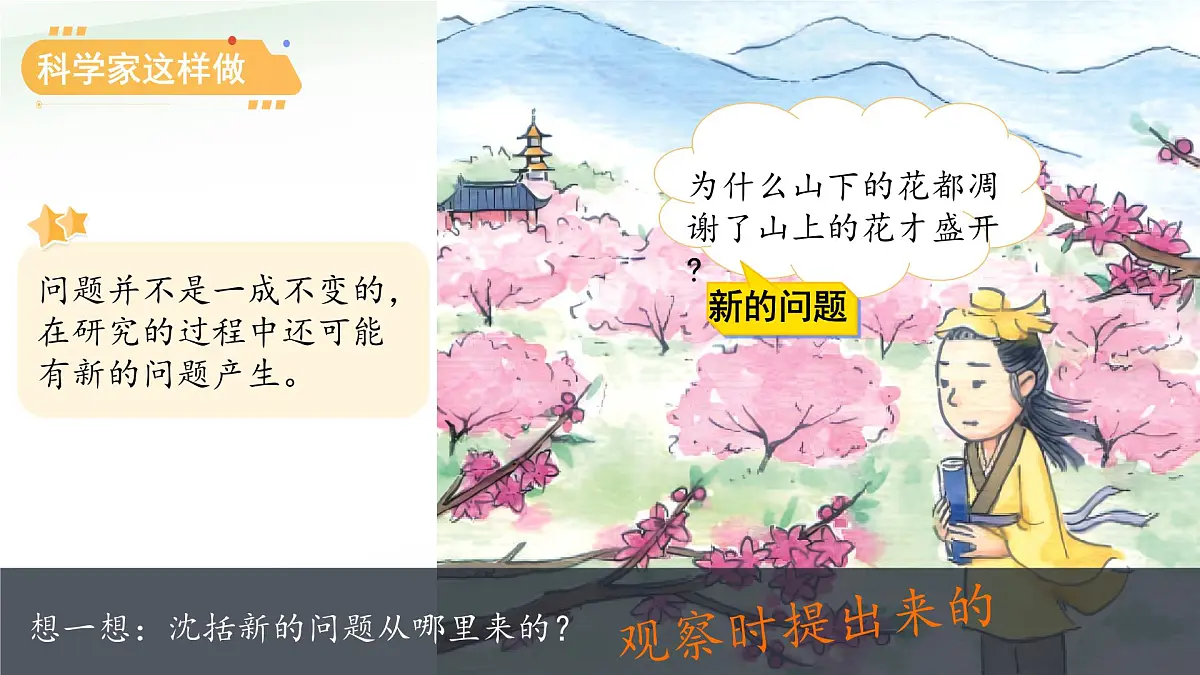 专项学习 像科学家那样 课件 小学科学苏教版(2024)一年级下册教案第8页