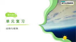 第四單元 動物與植物 單元復(fù)習(xí)課件 小學(xué)科學(xué)蘇教版（2024）一年級下冊