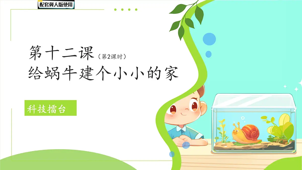第12课 给蜗牛建一个小小的家(第2课时)课件 小学科学冀人版(2024)一年级下册教案第1页