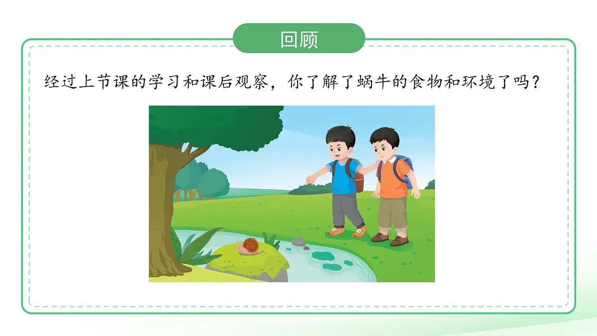 第12课 给蜗牛建一个小小的家(第2课时)课件 小学科学冀人版(2024)一年级下册教案第2页