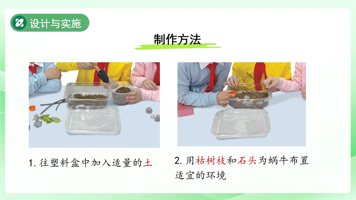 第12课 给蜗牛建一个小小的家(第2课时)课件 小学科学冀人版(2024)一年级下册教案第8页
