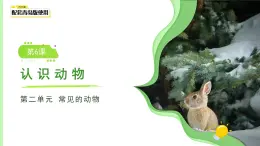 第6課 認識動物 課件 小學科學青島版六三制（2024）一年級下冊