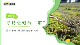 第13課 尋找蚯蚓的“家”課件 小學科學青島版六三制（2024）一年級下冊第三單元