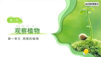 小学科学教科版（2024）一年级上册（2024）观察植物备课ppt课件