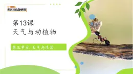 第13課 天氣與動(dòng)植物 課件 小學(xué)科學(xué)青島版五四制（2024）一年級(jí)下冊(cè)第三單元