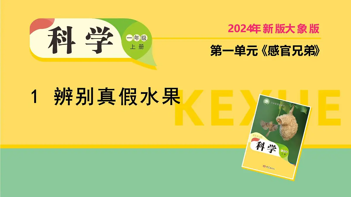 2025年秋大象版一年级科学上册 1 辨别真假水果(课件)第1页