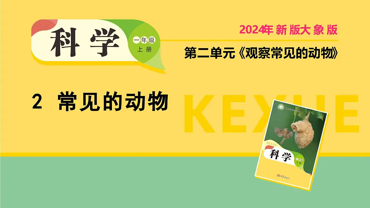 2025年秋大象版一年级科学上册 2 常见的动物(课件)第1页