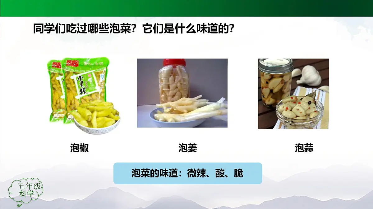 2025年秋人教鄂教版五年级科学上册 10.多种多样的微生物(课件)第3页