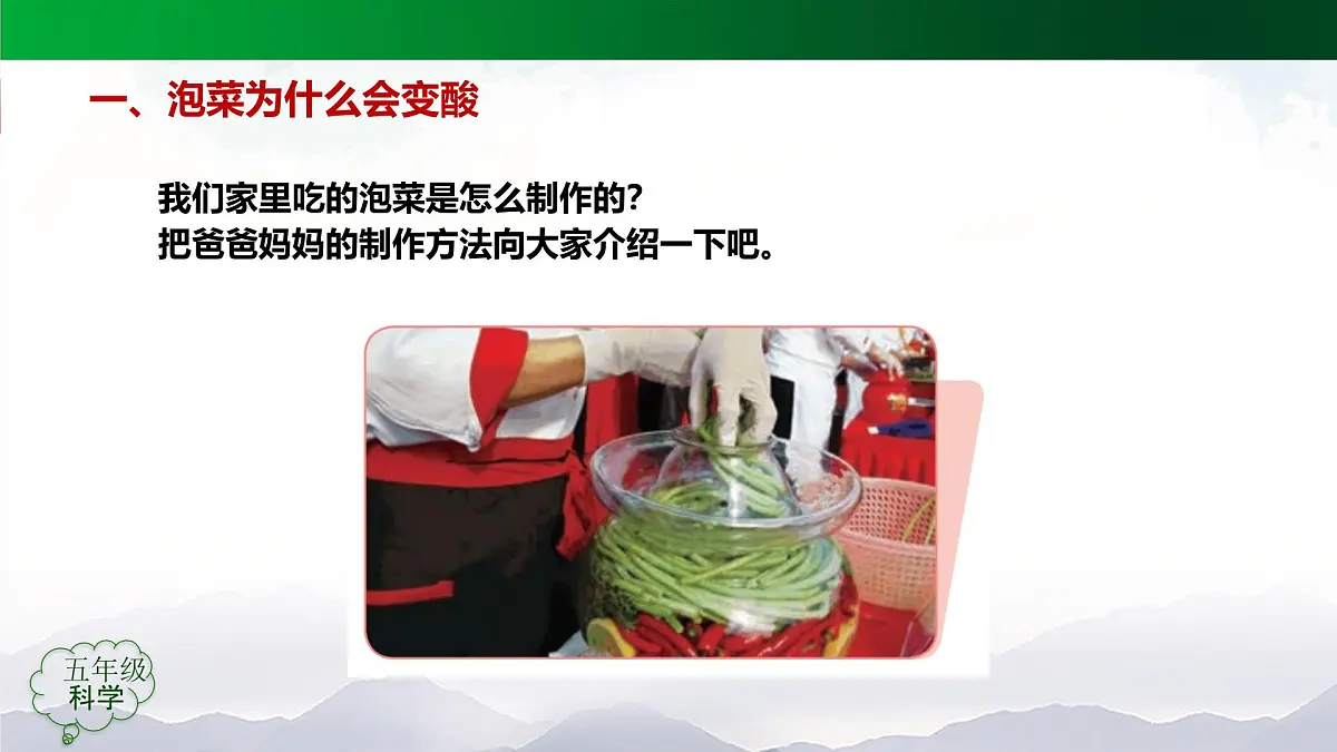 2025年秋人教鄂教版五年级科学上册 10.多种多样的微生物(课件)第4页