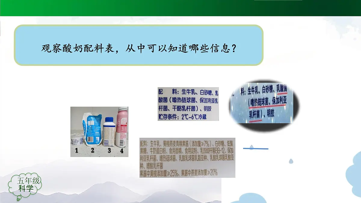2025年秋人教鄂教版五年级科学上册 10.多种多样的微生物(课件)第5页