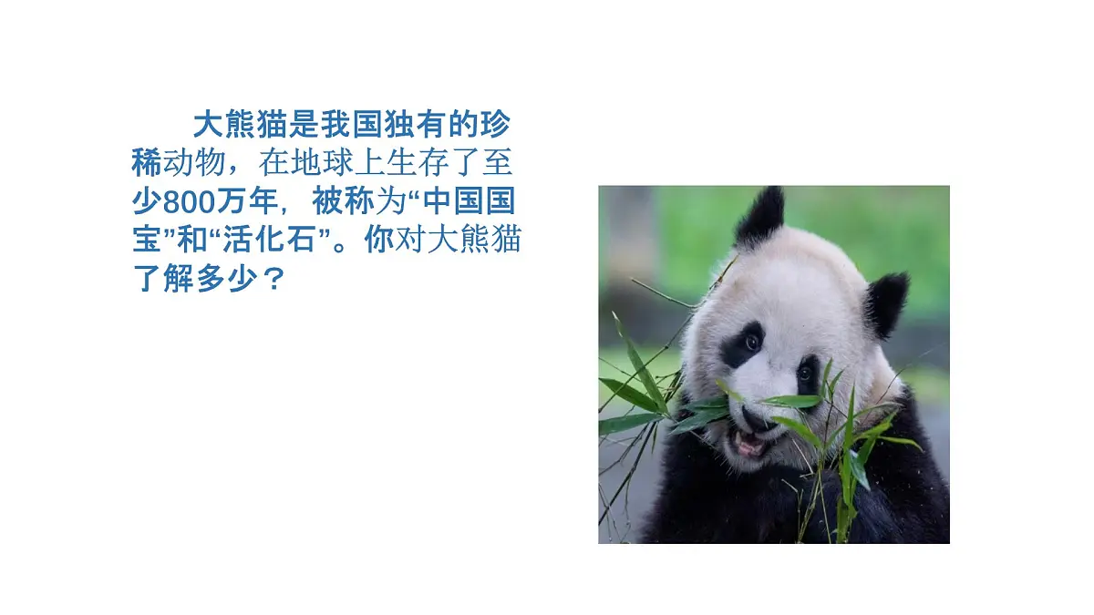 2025年秋人教鄂教版四年级科学上册 3.我国的珍稀动物(课件)第3页