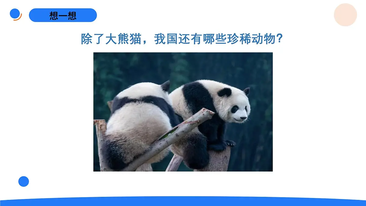 2025年秋人教鄂教版四年级科学上册 3.我国的珍稀动物(课件)第4页