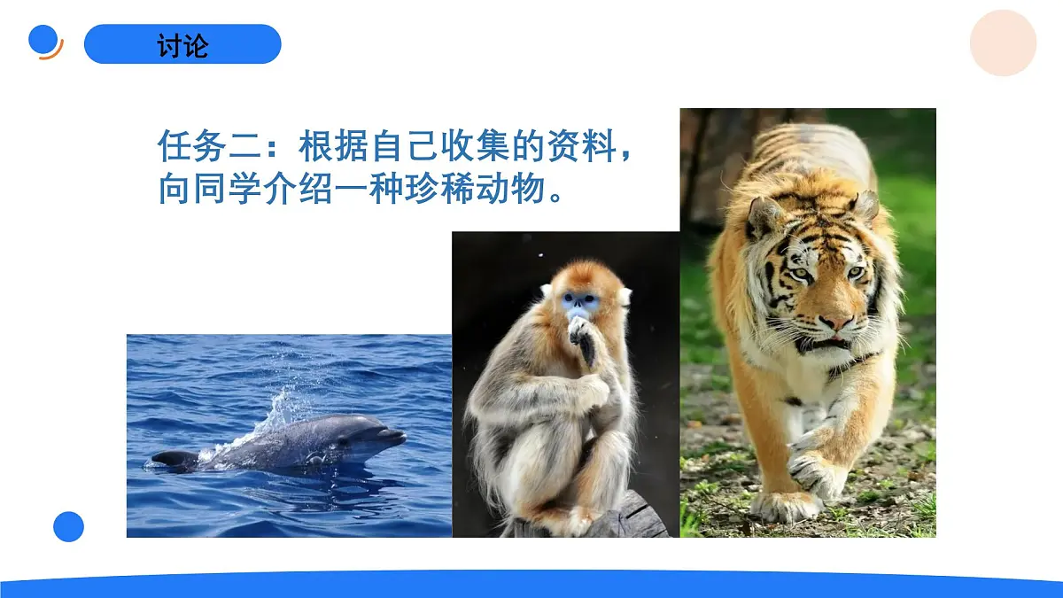 2025年秋人教鄂教版四年级科学上册 3.我国的珍稀动物(课件)第8页