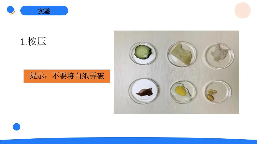 2025年秋人教鄂教版三年级科学上册 2.食物的营养(课件)第5页