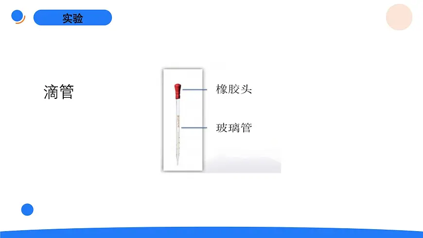 2025年秋人教鄂教版三年级科学上册 2.食物的营养(课件)第8页