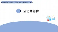 教科版（2024）一年级上册（2024）我们的身体示范课课件ppt
