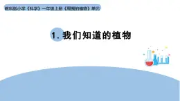2025年秋教科版一年級科學(xué)上冊1-1《我們知道的植物》（課件）