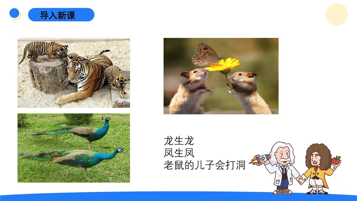 2025年秋青岛版六年级科学上册 2.《像与不像》教学课件第5页