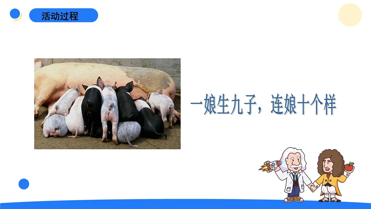 2025年秋青岛版六年级科学上册 2.《像与不像》教学课件第7页
