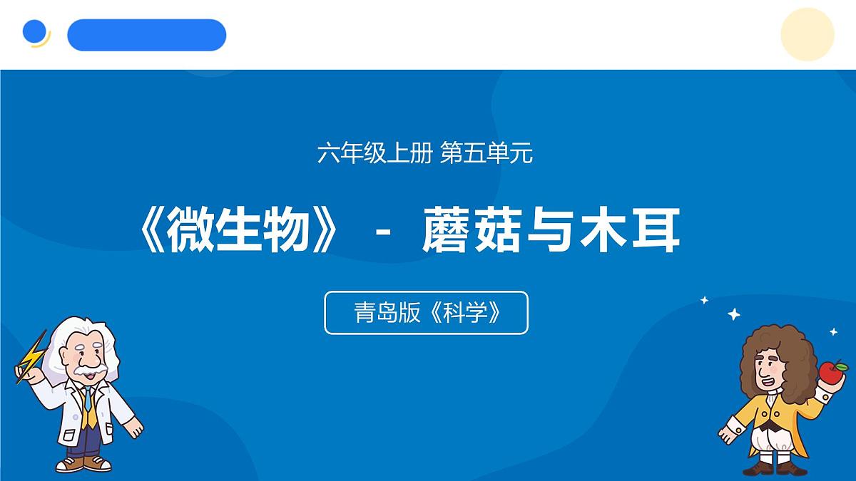 2025年秋青岛版六年级科学上册 5.《蘑菇与木耳》教学课件第1页