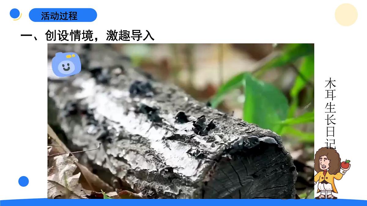 2025年秋青岛版六年级科学上册 5.《蘑菇与木耳》教学课件第4页