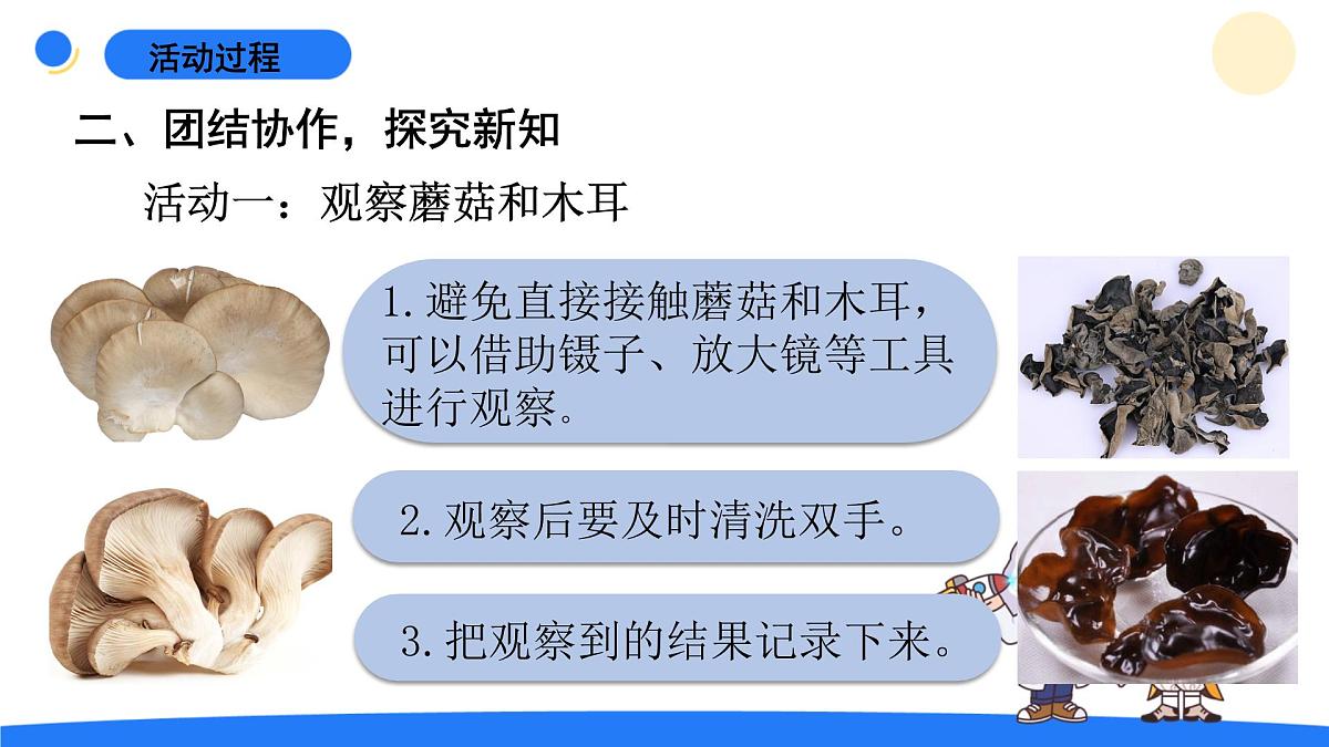2025年秋青岛版六年级科学上册 5.《蘑菇与木耳》教学课件第6页