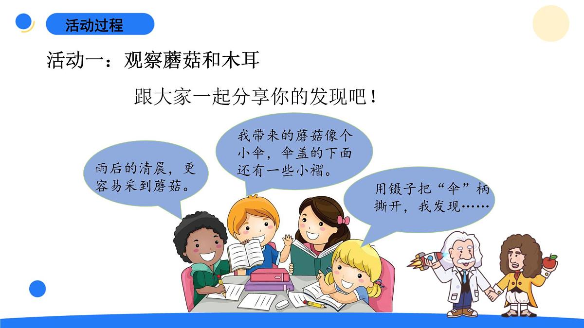 2025年秋青岛版六年级科学上册 5.《蘑菇与木耳》教学课件第8页