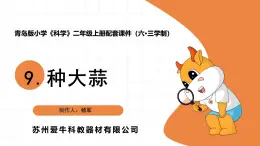 2025年青島版二年級(jí)科學(xué)上冊(cè) 9.《種大蒜》教學(xué)課件