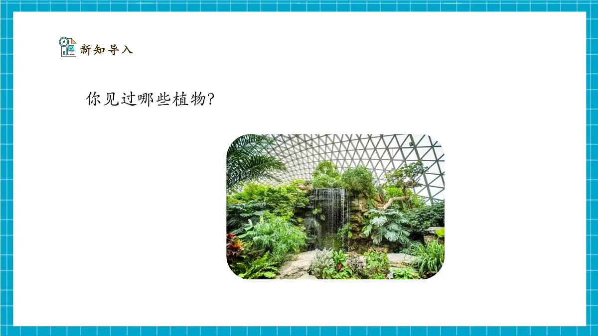 【大单元整体教学】2.4《身边的植物》课时课件第5页