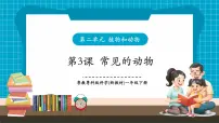 粤教粤科版（2024）一年级下册（2024）第6课 常见的动物优质课教学课件ppt
