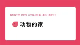 2025秋教科版小學(xué)科學(xué)二年級上冊1.1《動物的家》課件