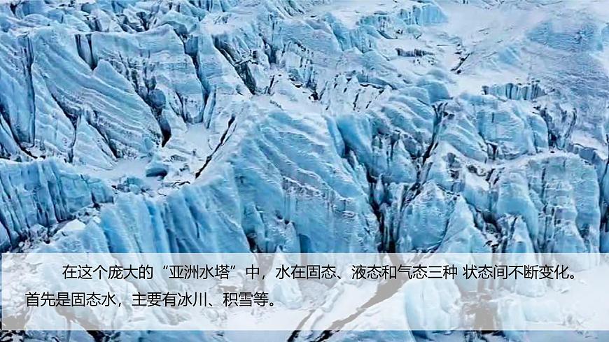 第二單元-科學(xué)閱讀(課件)2025-2026學(xué)年科學(xué)三年級上冊(教科版2024)第8頁