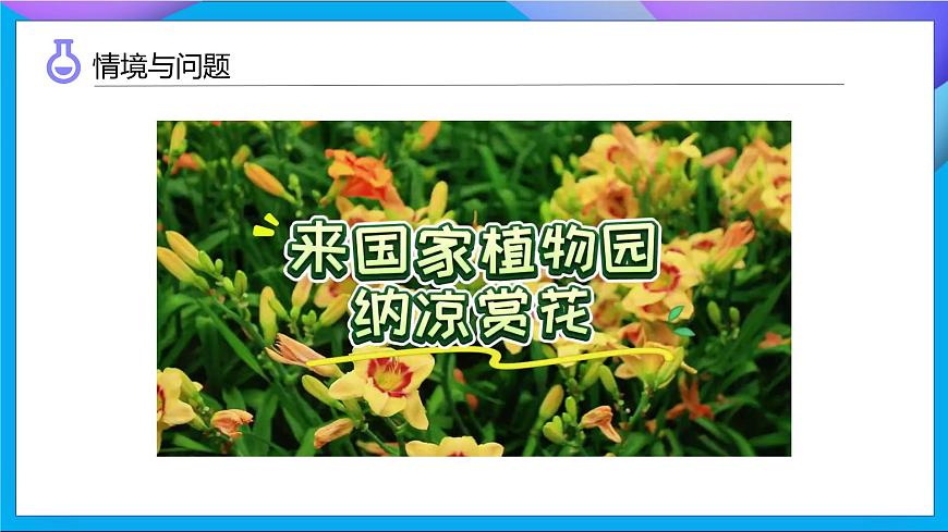 【任務(wù)型備課】教科版科學(xué)一上-1.2 觀察植物(課件)第4頁
