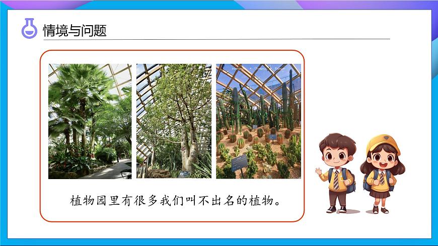 【任務(wù)型備課】教科版科學(xué)一上-1.2 觀察植物（課件）第5頁