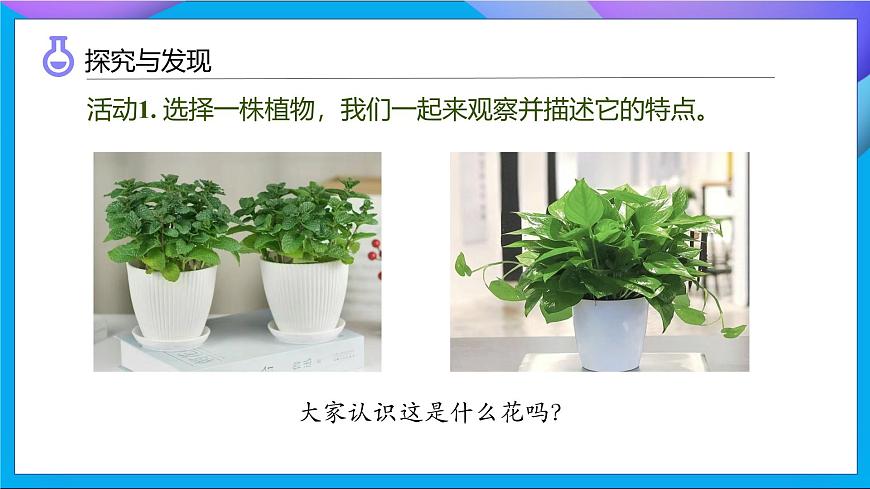 【任務(wù)型備課】教科版科學(xué)一上-1.2 觀察植物（課件）第8頁