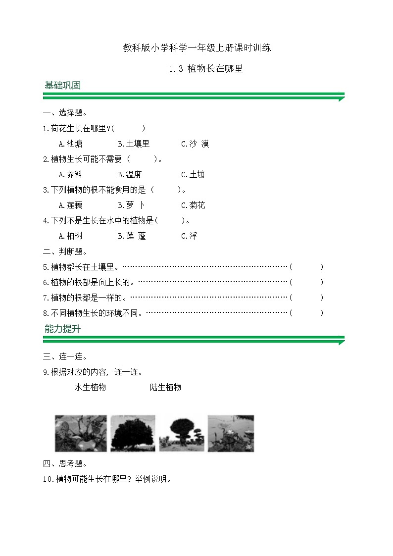 【任務(wù)型備課】教科版科學(xué)一上-1.3 植物長(zhǎng)在哪里(習(xí)題)第1頁(yè)