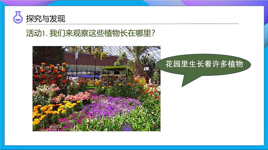 【任務(wù)型備課】教科版科學(xué)一上-1.3 植物長(zhǎng)在哪里（課件）第8頁(yè)
