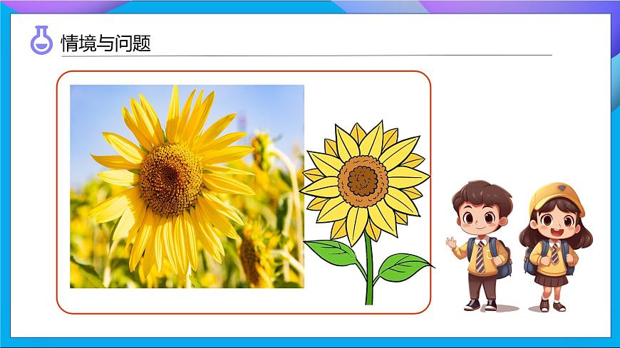 【任務(wù)型備課】教科版科學(xué)一上-1.4 給植物畫張“像”（課件）第5頁