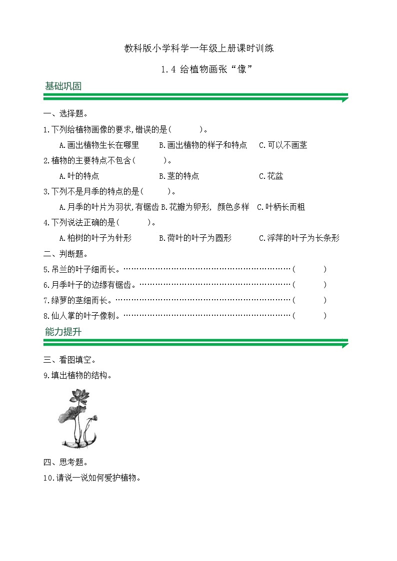 【任務(wù)型備課】教科版科學(xué)一上-1.4 給植物畫張“像”（習(xí)題）第1頁