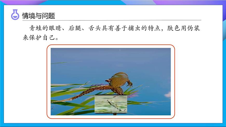 【任務型備課】教科版科學一上-2.1 我們的身體（課件）第4頁