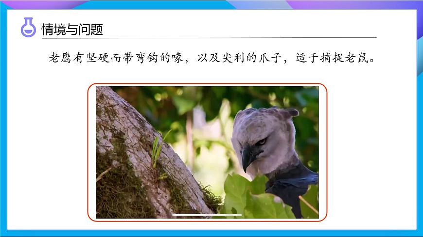 【任務型備課】教科版科學一上-2.1 我們的身體（課件）第5頁