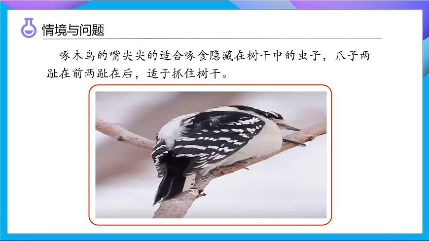 【任務型備課】教科版科學一上-2.1 我們的身體（課件）第6頁
