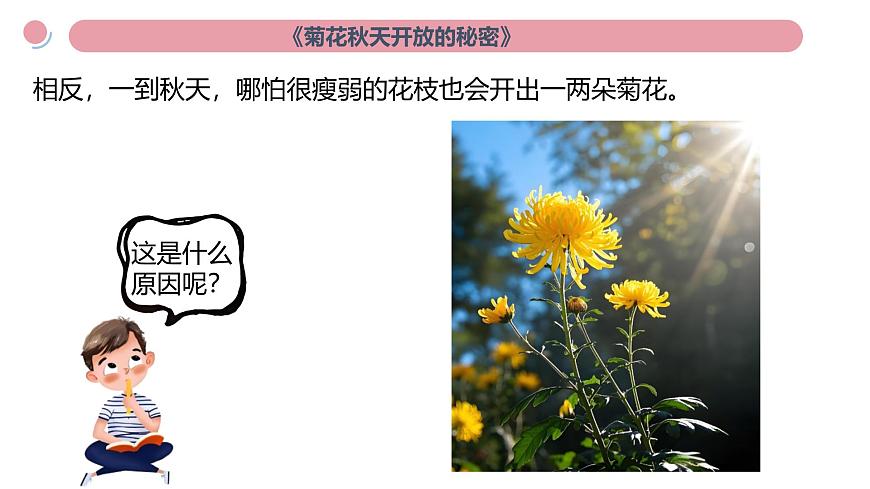 小學(xué)科學(xué)新教科版二年級上冊第二單元科學(xué)閱讀《地球家園》教學(xué)課件(2025秋新版)第3頁