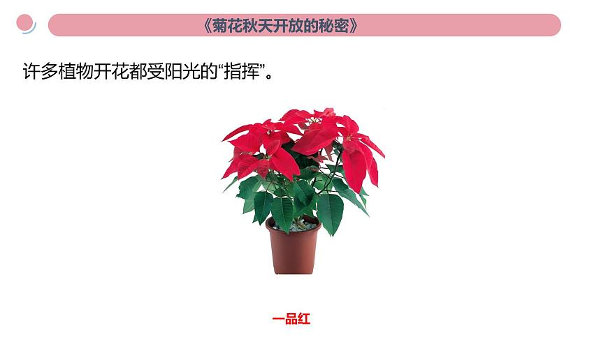 小學(xué)科學(xué)新教科版二年級上冊第二單元科學(xué)閱讀《地球家園》教學(xué)課件(2025秋新版)第5頁
