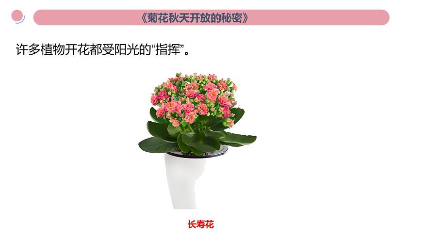小學(xué)科學(xué)新教科版二年級上冊第二單元科學(xué)閱讀《地球家園》教學(xué)課件(2025秋新版)第6頁