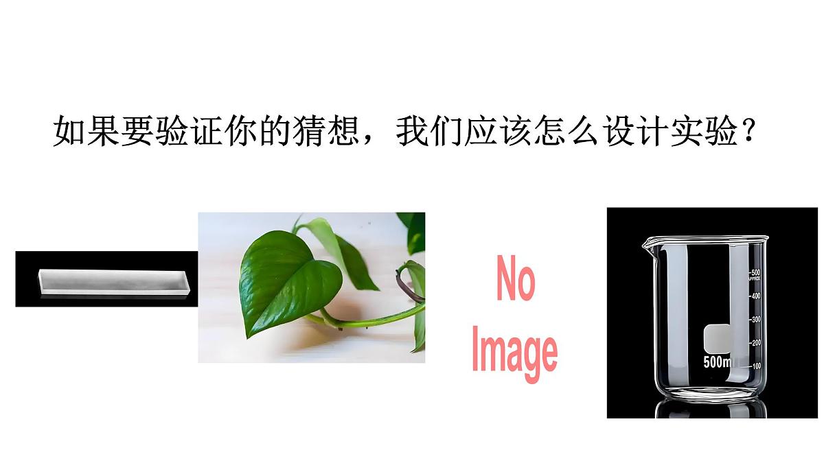 2.1.水到哪里去了(课件)2025-2026学年教科版三年级科学上册第4页