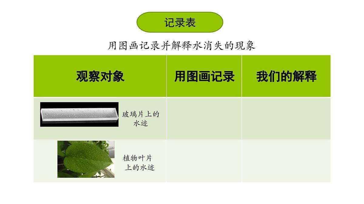 2.1.水到哪里去了(课件)2025-2026学年教科版三年级科学上册第5页
