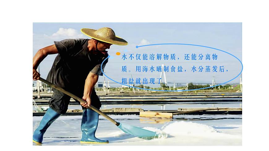 2.8.用水分離(課件)2025-2026學(xué)年教科版三年級(jí)科學(xué)上冊(cè)第2頁(yè)